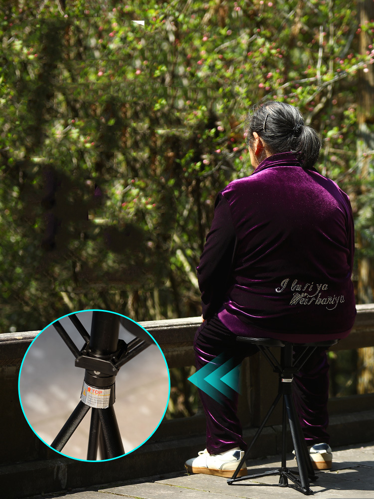 Multifunctional Walking Stick  - Outdoor Furniture Metal Chairs のレビューと価格