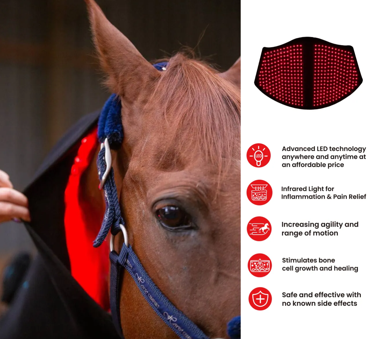 Red Light Targeting Neck Areas - Outdoor Furniture Target のレビューと価格